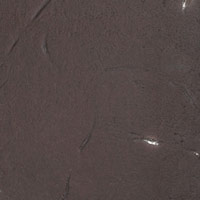 Клинкерная напольная плитка ABC-Klinkergruppe - Antik Mangan, 310х310x8mm