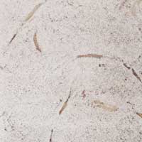 Клинкерная напольная плитка ABC-Klinkergruppe - Antik Mushelweis, 310х310x8mm