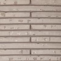 Кирпич облицовочный ручной формовки Terca - POLARIS Wasserstrich Special Grey