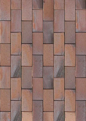 Тротуарный кирпич ABC-Klinkergruppe - Carbo (Rot bunt Kohlebrand)